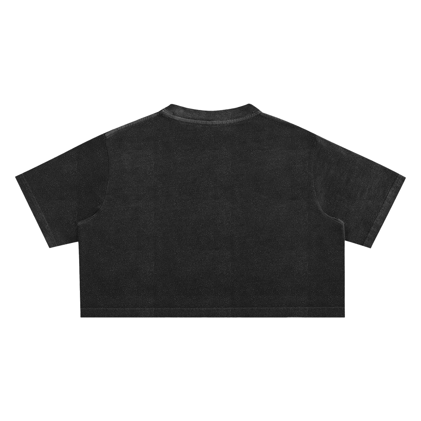 Logo Snow Washed Crop Top